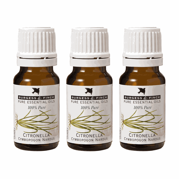 Burgess &amp; Finch Citronella Oil 10ml x 3