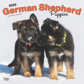 AT-A-GLANCE® Puppies Monthly Wall Calendar, Puppies