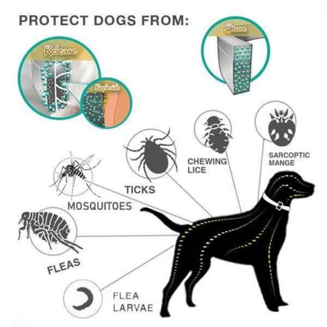 what is a good mosquito repellent for dogs