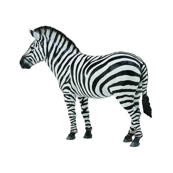 Collecta Wildlife Lrg Common Zebra