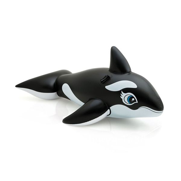 GB Pool Whale Rider SY-A0764