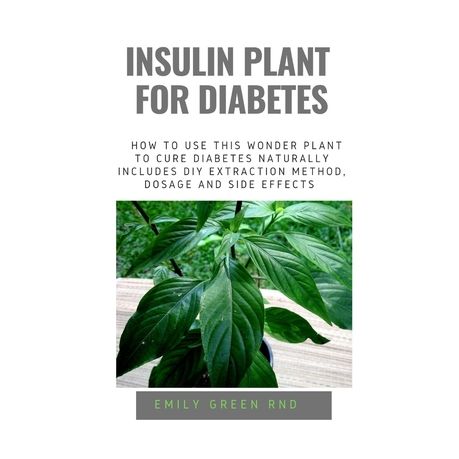 Insulin Plant for Diabetes: How to use this wonder plant to cure diabetes naturally includes DIY extraction method, dosage and side effects Image