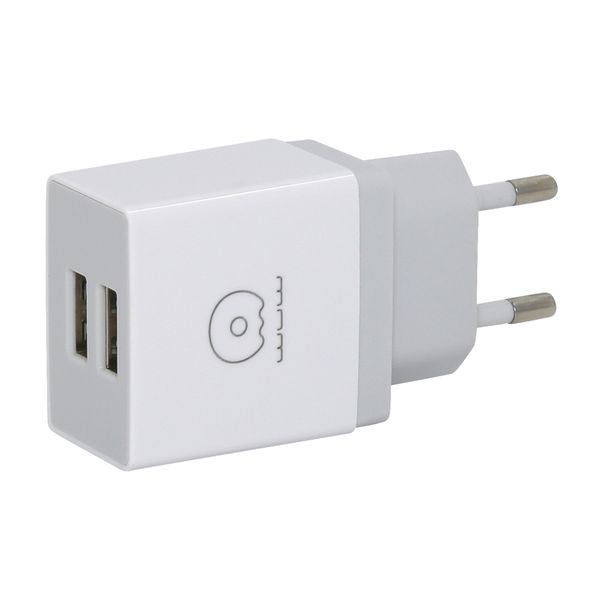 WUW Dual USB Port C62 Home &amp; Travel Adaptor Charger