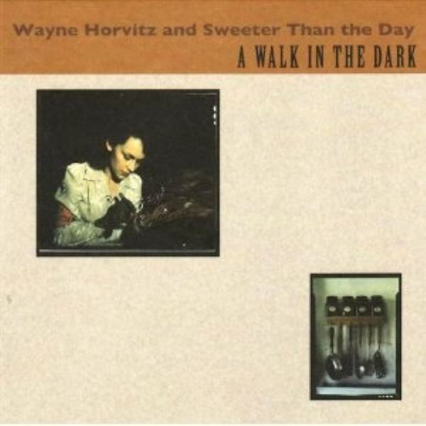 Wayne Horvitz - A Walk in the Dark