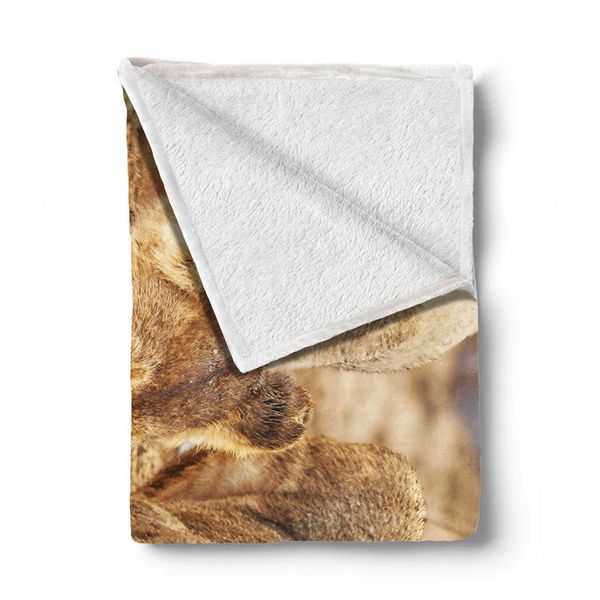 Lion Leeu Panthera Leo Light Weight Fleece Blanket By Fanie Heymans