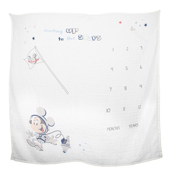 Mickey Mouse Milestone Blanket