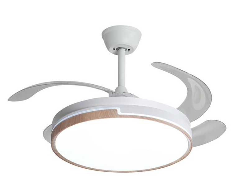 White And Oak image