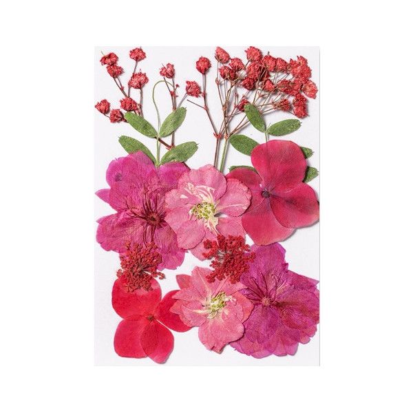 Pressed Dried Flowers, Style 8.2