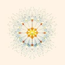 Little Things (Vinyl / 12" Album)