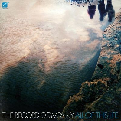 All of This Life (Vinyl / 12" Album)