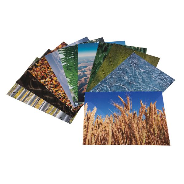 Anthony Peters A4 Nature Around Us Arts &amp; Crafts Paper: 40 Pieces