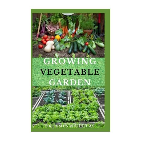 Growing Vegetable Garden Easy Guide, How To Make A Vegetable Garden In South Africa