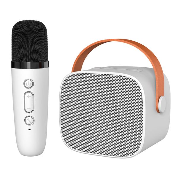 Mini Karaoke Machine HiFi Surround Sound Portable Bluetooth Speaker White