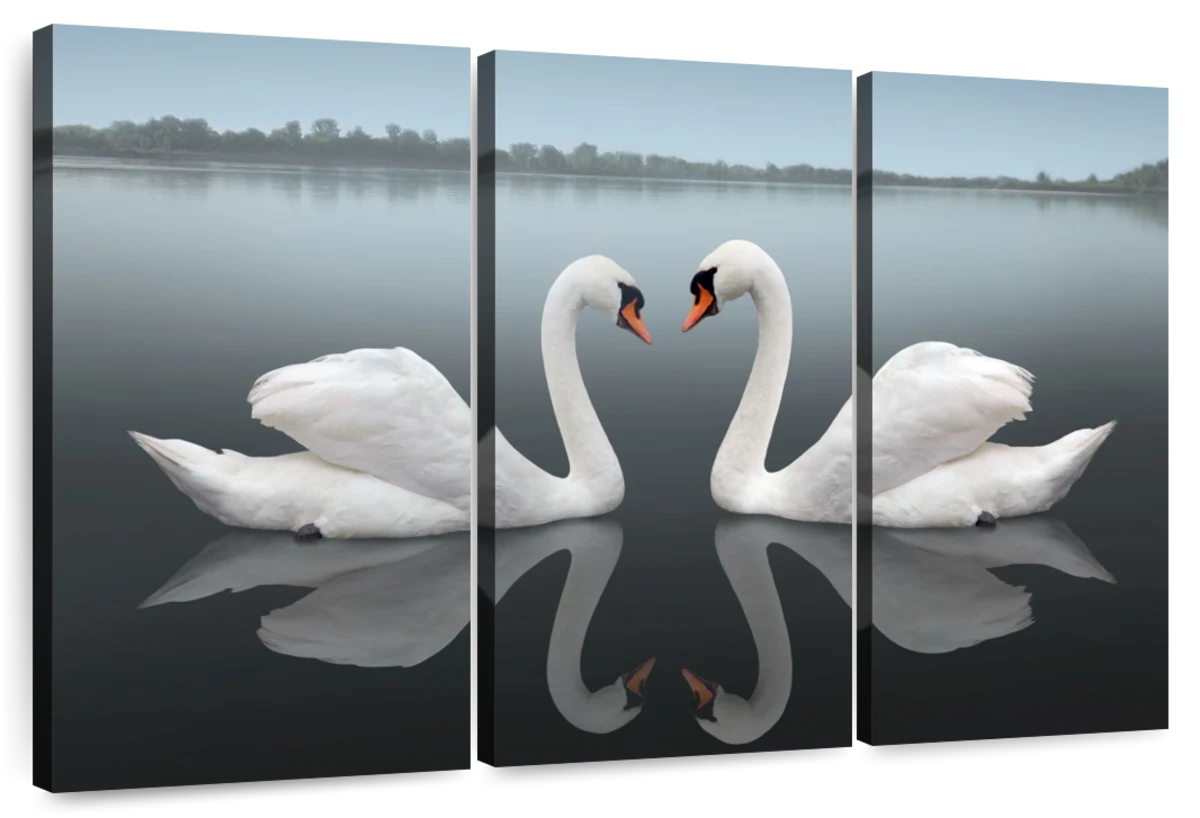 Canvas Art - Swan Love 3 Piece Canvas Wall Art Living Bedroom Decor ...