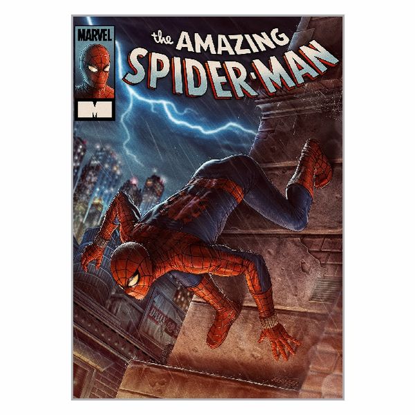 The Amazing Spider-Man Comic Poster - A1