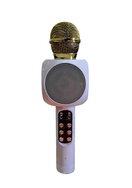 Handheld KTV WS-1816 Wireless Microphone-White