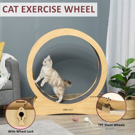 Cat running hot sale wheel