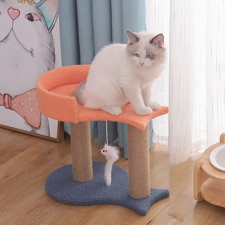 Takealot cat outlet scratch posts