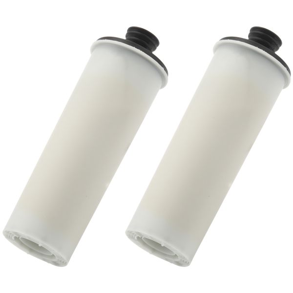 Clean Water Descaling Filter Premium Upright 2PCS Compatible With Karcher SC2 SC3