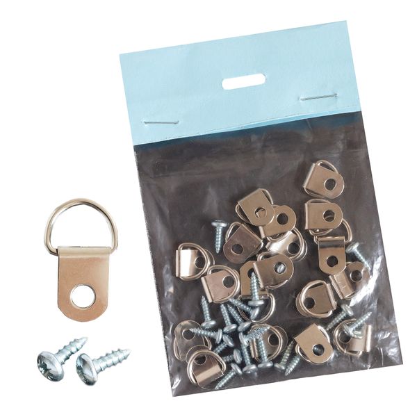 D-Ring Hangers &amp; Screws - Pack of 20