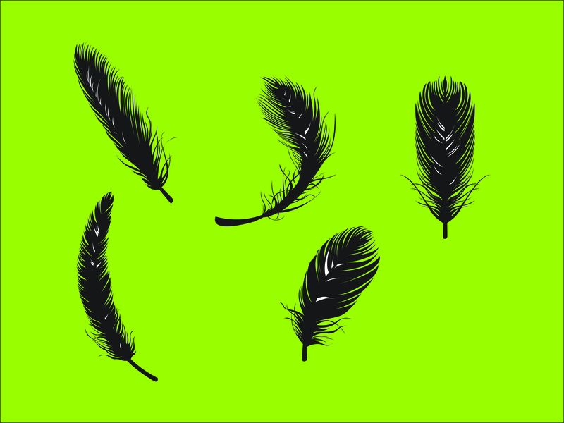 Laptop Skin Protector - Feathers - Vinyl Sticker