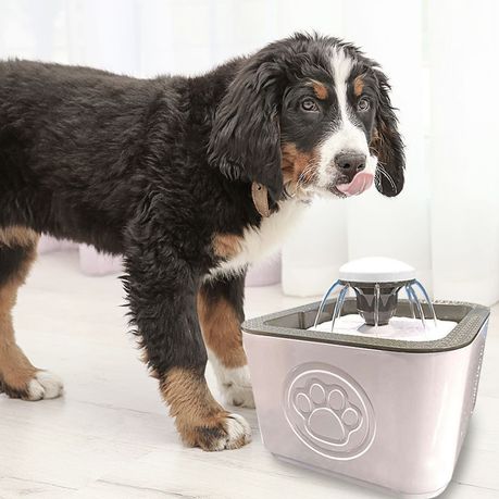 Automatic water fountain for dogs hotsell