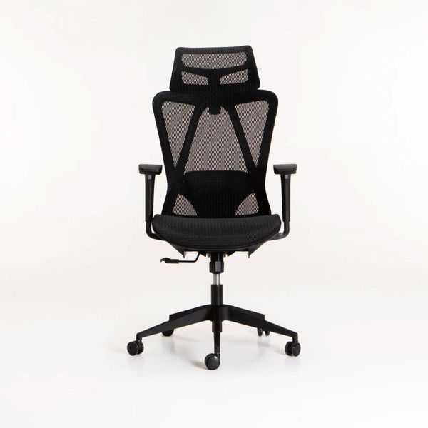 Luxury Executive Office Chair