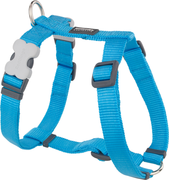 Red Dingo Classic Harness - Turquoise