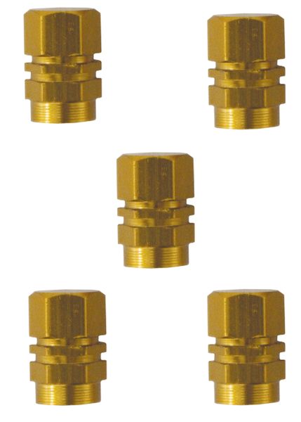 Valve Cap Set 5peice Blister Gold