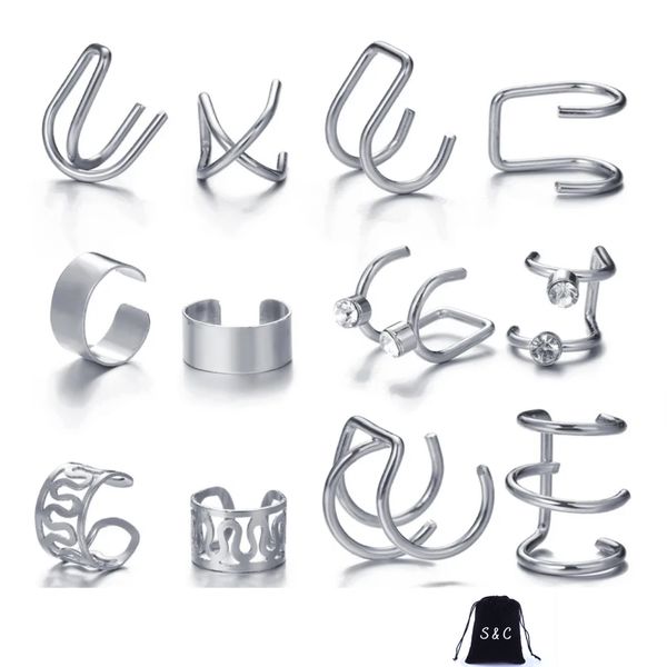S &amp; C Silver Elegance Clip-On Earring Set