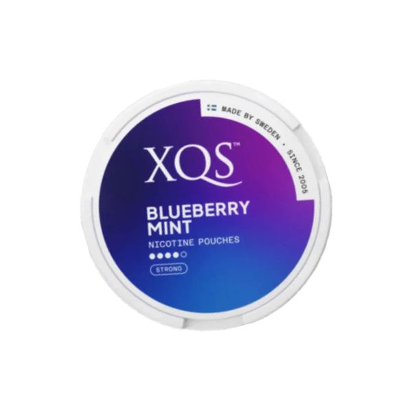 XQS - Blueberry Mint Nicotine Pouches