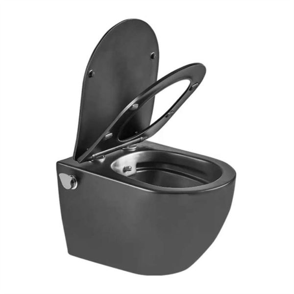 Lucile Wall Hung Bidet Toilet (Built in Bidet)