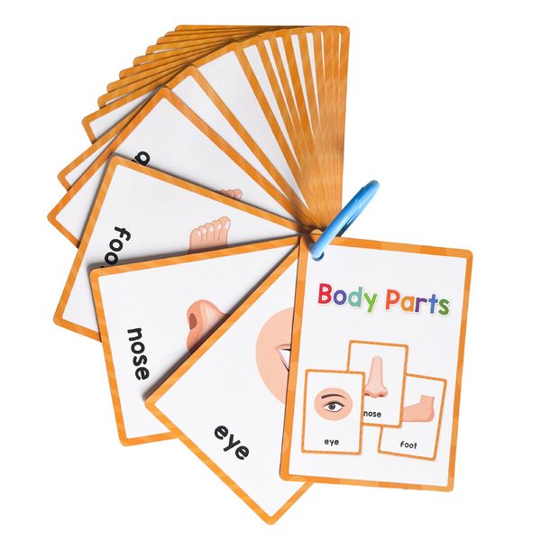 Body Parts Flash Cards - 36 Cards