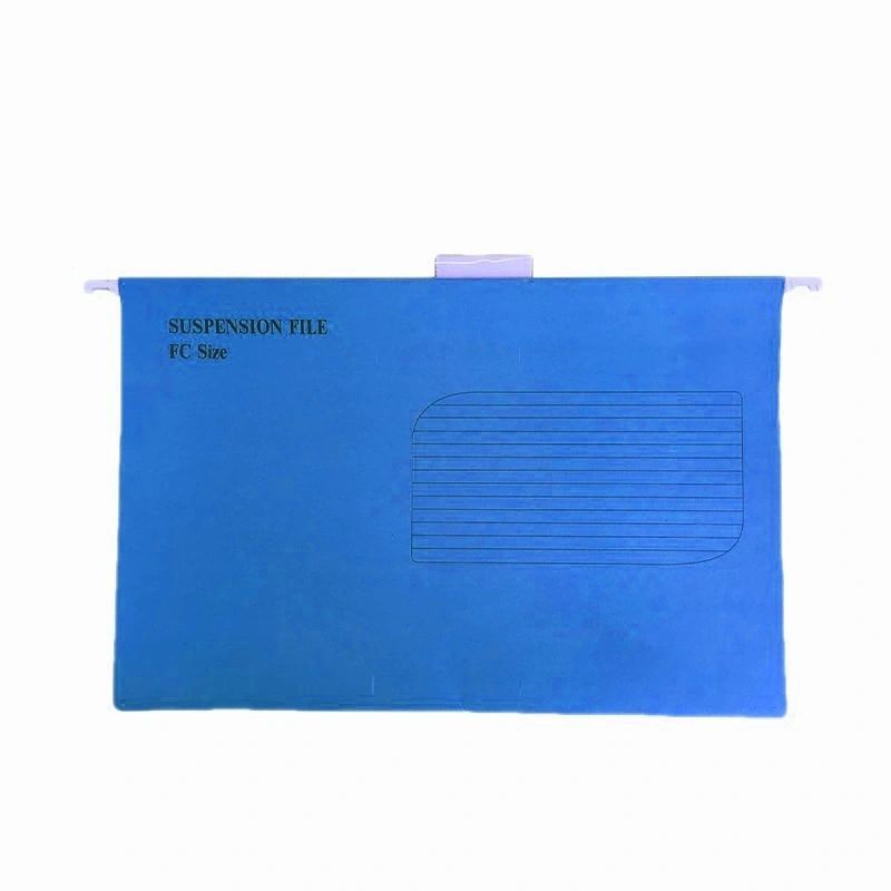 Suspension Files 50 Pack FC Size With Flexi Tabs And Inserts Dark