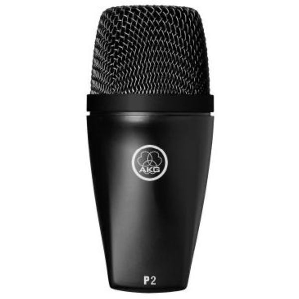 AKG P2 Dynamic Instrument Microphone