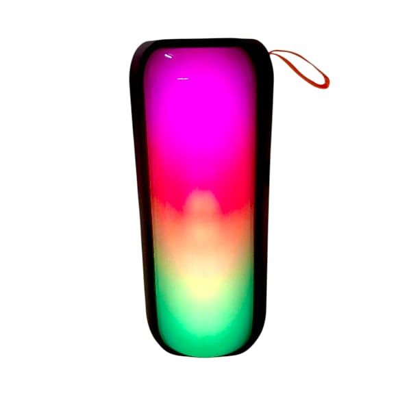 Digimark 222BT Portable Speaker