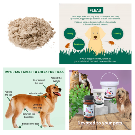 Devoted By Nature Food Grade Diatomaceous Earth Powder For Pets 350g x 2 Shop Today. Get it Tomorrow takealot