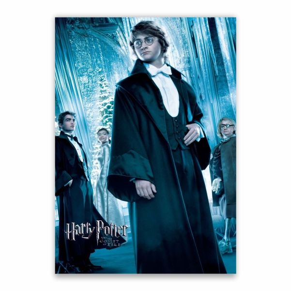 Harry Potter And The Goblet Of Fire Movie Poster A1 Shop Today Get