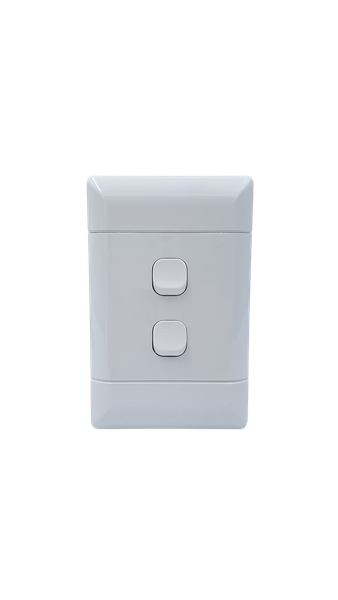 4x2 2 Lever 1 Way Light Switch