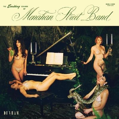 The Exciting Sounds of Menahan Street Band (Vinyl / 12" Album)