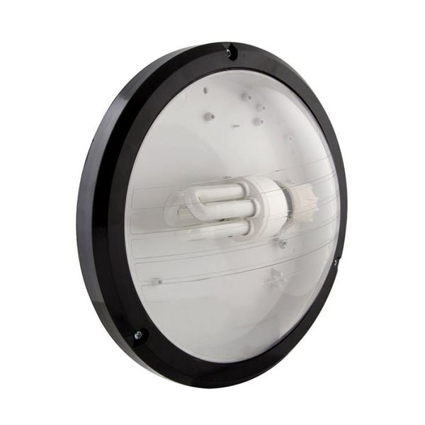 Eurolux - Bulkhead Clear Lens Black