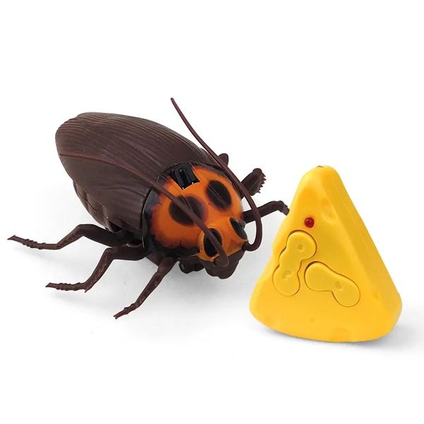 Remote control Coackroach