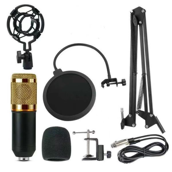 Studio Audio Condenser 3.5mm Wired Microphone Radio Vocal Mic Stand
