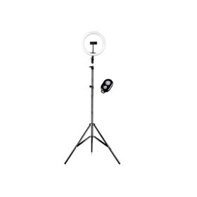 10? Ring Light With Tripod | Buy Online in South Africa | takealot.com