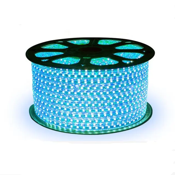 LED Strip Light 100m x 11mm Dotted Blue