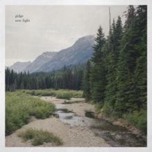 New Light (Vinyl / 12" Album)