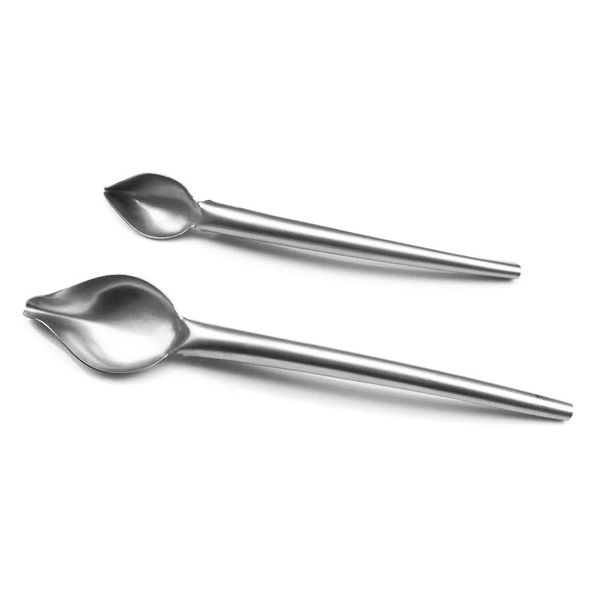 Set Of 2 Stainless Steel Multipurpose Spoon Baking Decorating Tool - Silver