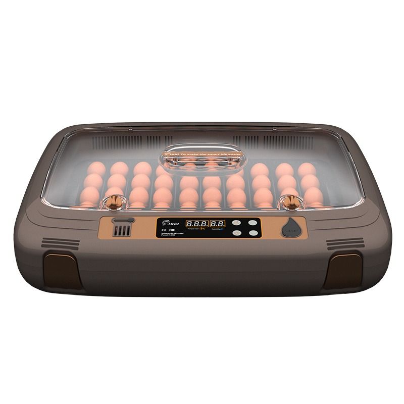 50 Egg Incubator Shop Today. Get it Tomorrow!