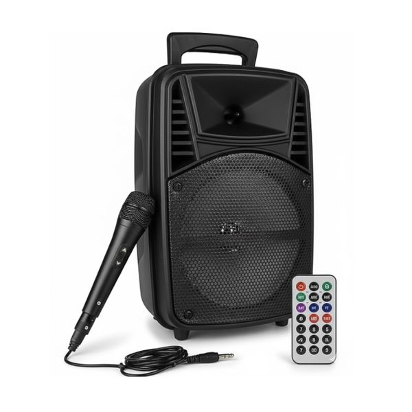 Black Wireless Speaker with Microphone and Remote - Powerful Sound