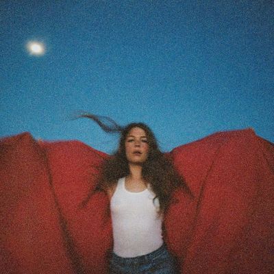 Heard It in a Past Life (Vinyl / 12" Album)